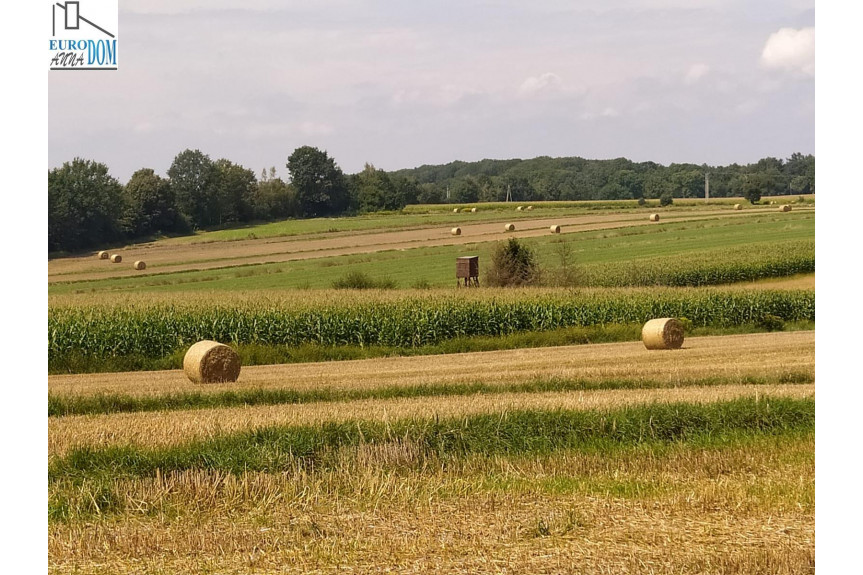 Zbrosławice, tarnogorski, Działka na sprzedaż